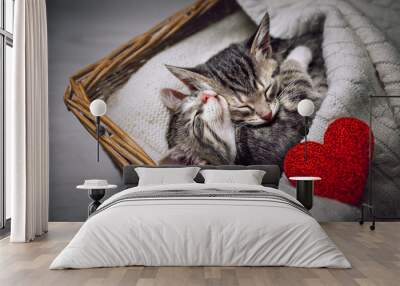 Caring and expressing love for your pets. A couple of happy kittens are sleeping cuddled together in a cozy basket Wall mural