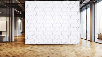 Abstract 3d hexagons background design, 3d rendering,conceptual image. Wall mural