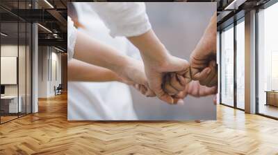 Panoramic teamwork business join hand together concept, Business team standing hands together, Volunteer charity work. People joining for cooperation success business. Wall mural