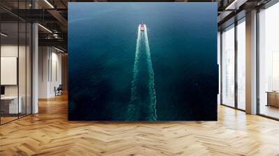 container cargo ship sailing full speed in pacific ocean to transport goods import export internatio Wall mural