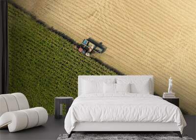 Sugarcane cutting truck top view. Wall mural