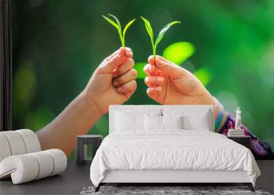 two young karen girls show off the tops of tea leaves in her hands and nature background, Wall mural