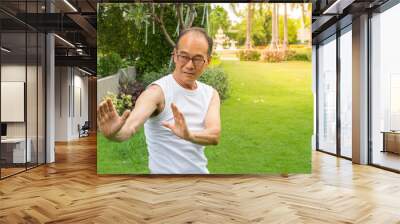 asian senior man wear white shirt stand and practice tai chi on the grass in the park and copy space Wall mural