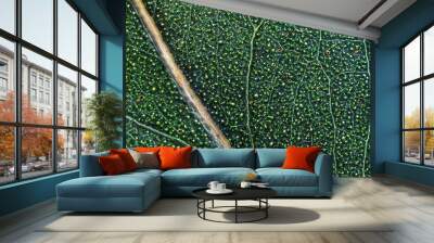 Green plant leaf macro Wall mural