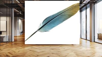 Single feather in turquoise isolated on a white background Wall mural