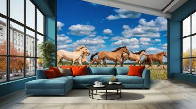 Young beautiful thoroughbred horses graze in the meadow in summer. Wall mural