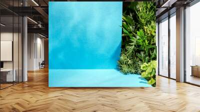 Minimalist botanical background with copy space. Blue toned showcase for new product demonstration, promotion sale, packaging presentation, cosmetic or merchandise. Light and shadow. Front view. Wall mural