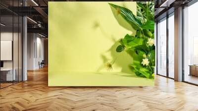 Minimalist botanical background with copy space. Creative showcase with fresh plants for product demonstration, promotion sale, packaging presentation or merchandise. Light and shadow. Front view. Wall mural