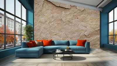 Textured stone sandstone surface. Close up image Wall mural