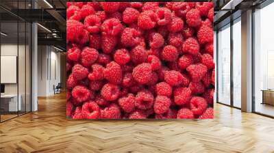 Ripe red raspberries as background Wall mural