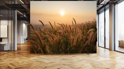 Close-up of beautiful long golden grass flowers in a green grass field along the rural hills with blurred distant mountain scenery and soft golden sky in the background on a quiet sunset or sunrise. Wall mural