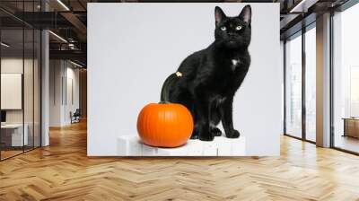 black cat and an orange pumpkin sitting on a white crate Wall mural