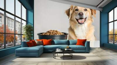 Cute Dog Next To Large Bowl With Dry Food, On grey Background, Food, Nutrition, Pet Wall mural