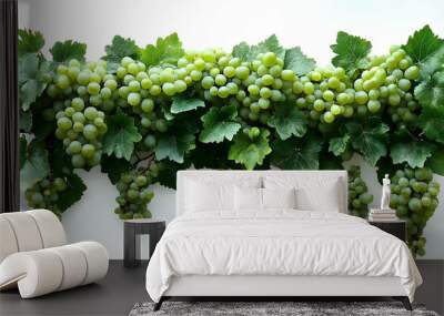 A bunch of green grapes with leaves, showcasing fresh produce. Wall mural