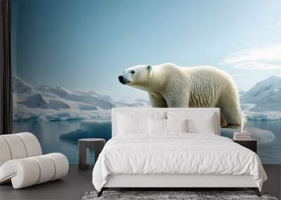 A polar bear stands on an ice floe in the Arctic. Wall mural