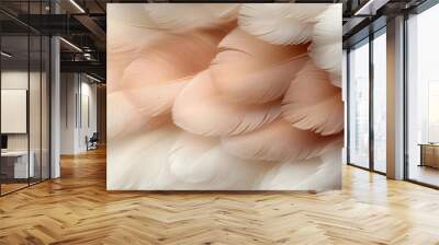 A close-up of soft, delicate white and peach feathers. Wall mural