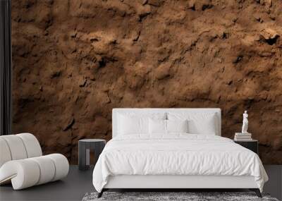 seamless dirt texture on a brown wall Wall mural