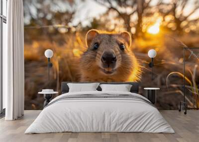 Smiling Quokka in Golden Sunset Wall mural