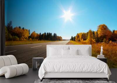 road in autumn Wall mural