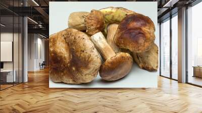 White mushroom lat. Boletus edulis isolated on white background Wall mural