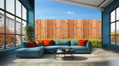 Brown wooden fence and Green bush on a clear blue sky background Wall mural