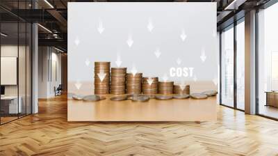 Concept of cost, lean or cost reduction. Coin stack with the word cost and down arrow for decreasing expense to maximize profits Wall mural