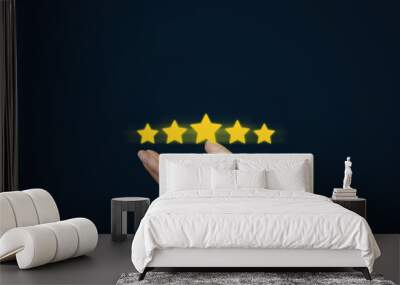 Hand of client show a feedback with five star rating for rating. Service rating, satisfaction concept Wall mural