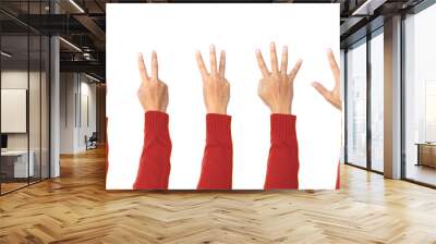 Hand showing one to five fingers count. communication gestures concept. Object with clipping path. Countdown Wall mural