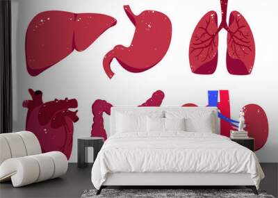 Human body parts elements. Isolated on white liver, heart, colon, kidneys, lungs and stomach in cartoon style. Biological, medicine clip art set. Wall mural