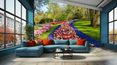 Flower bed of colourful tulips in spring. Colorful tulips in the Keukenhof garden, Holland Netherlands. Fresh blooming tulips in the spring garden. Tulip Flower Field. Wall mural