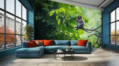 Monkey (Macaca flavicularis) in Ubud Monkey Forest, Bali. Wall mural