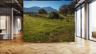 Early morning in the mountains, field and fog Wall mural