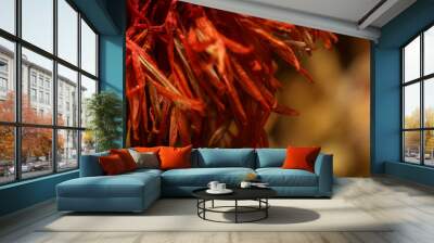 Abstract background power of colorfull flower Wall mural