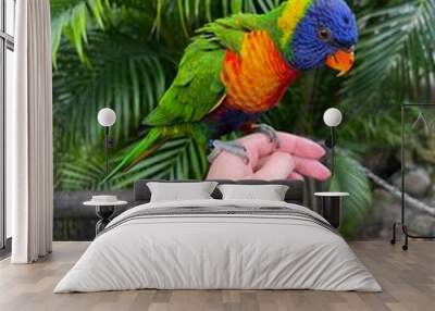 parrot on hand Wall mural