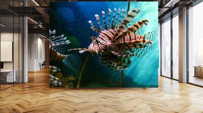 lion fish Wall mural