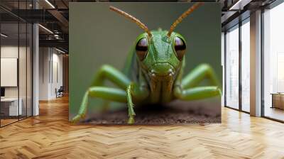 Green grasshopper macro insect photography ai photo Wall mural