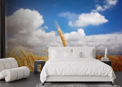 wheat ear on meadow Wall mural