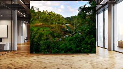 View of the beautiful terraced rice fields of Tegallalang Wall mural