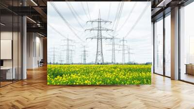 A lot of high-voltage power line, transmission tower overhead line masts, high voltage pylons as power pylons on the fields. Wall mural