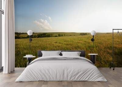 Kansas field of grass and sky Wall mural