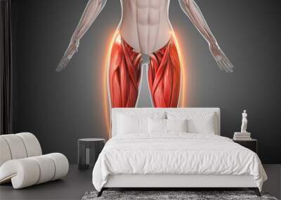 Animation of the thigh muscles Wall mural