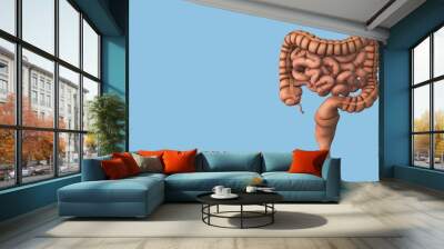 Human internal organ with intestine	
 Wall mural