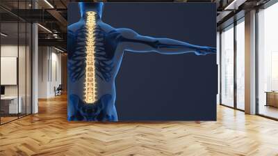 Painful sacral and cervical medical background. Wall mural