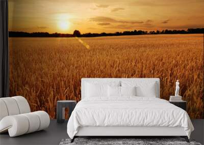 Field of wheat at sunset Wall mural