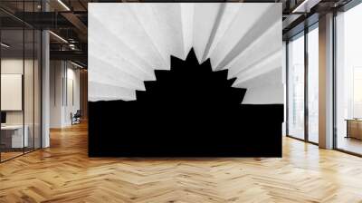 Abstract paper art sculpture in black and white Wall mural