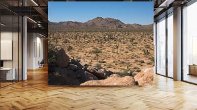 California Desert 2 Wall mural