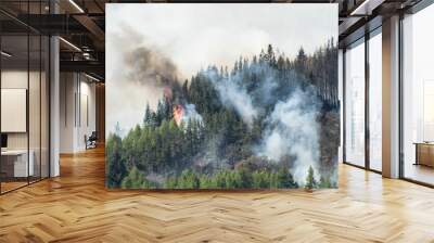 Smoke and flames rising from a burning pine fore Wall mural