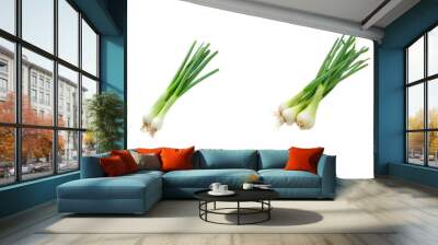 Collection of Chopped green onions in bowl top view isolate on transparency background Wall mural