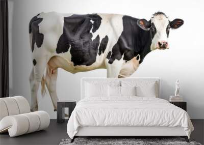 white and black cow on transparency background PNG
 Wall mural