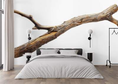 wooden stick branche isolate on transparency background Wall mural